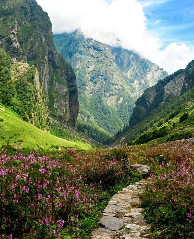 valley of flowers in uttarakhand