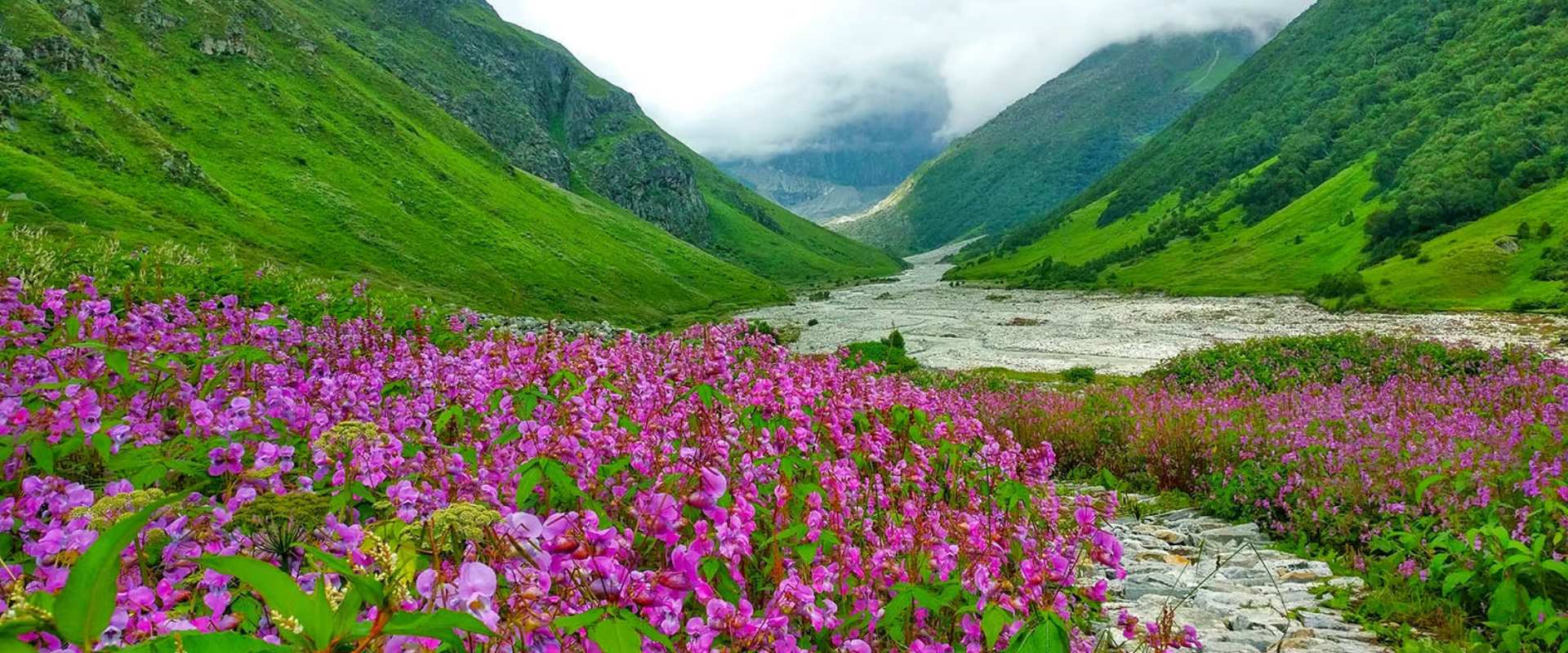 valley of flowers in uttarakhand