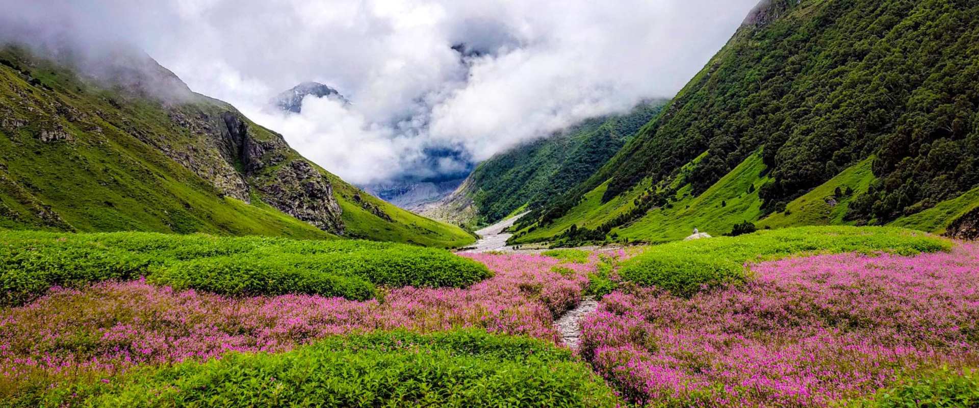 valley of flowers trek